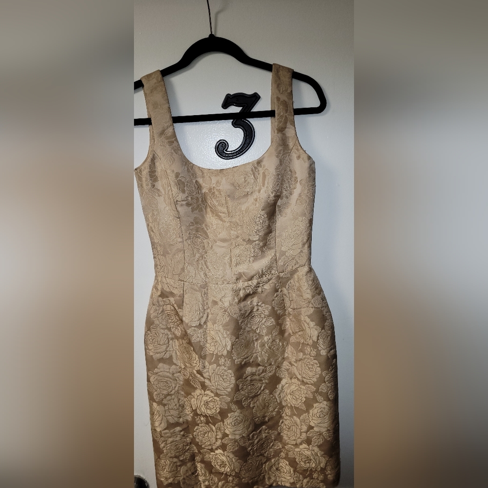 Dolce & Gabbana Tan Floral Mini Dress - Picture 5 of 8